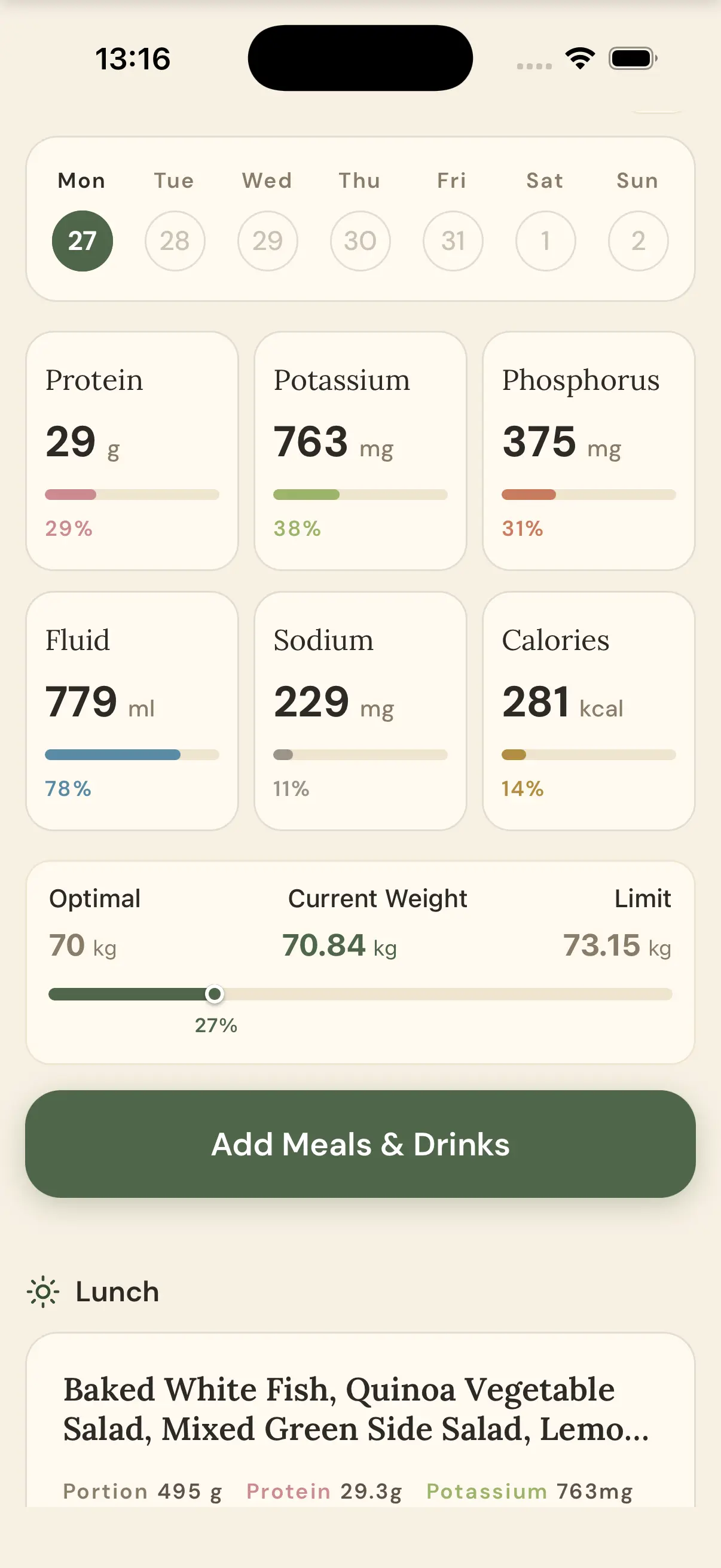 renalee daily tracker: protein, potassium, phosphorus, fluid, sodium and calories, each showing the day's total against its target, above the weight gained since the last dialysis session